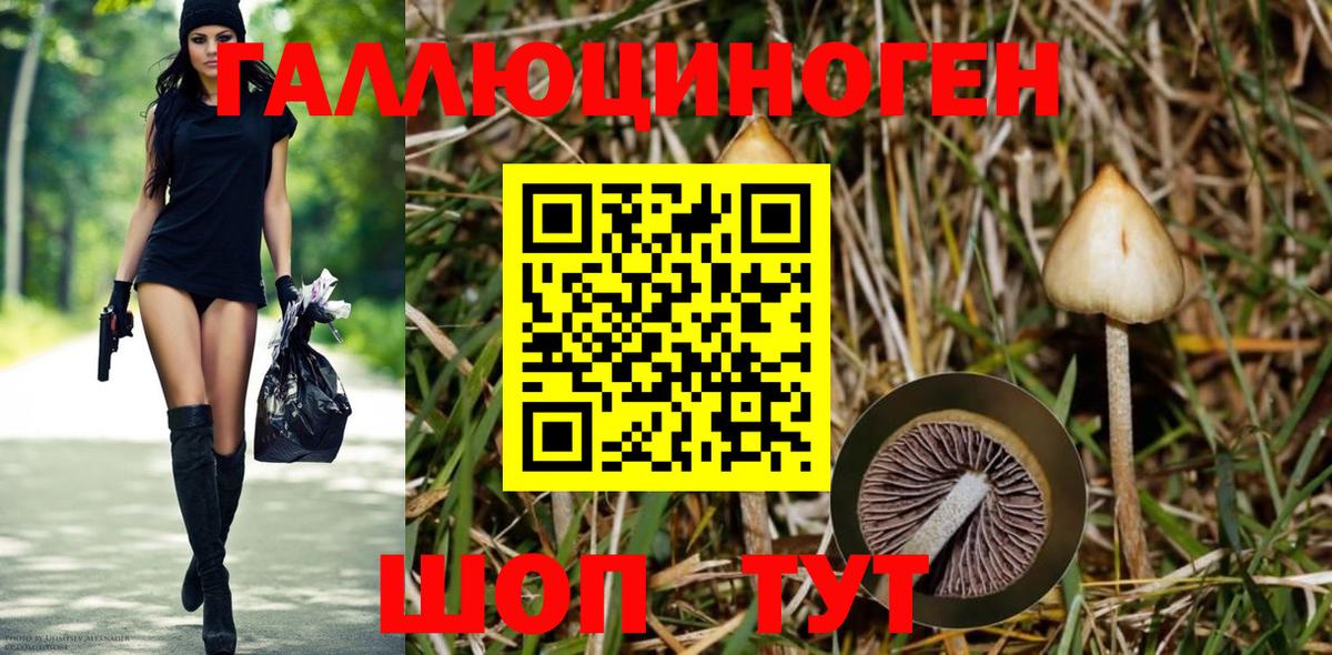 Галлюциногенные грибы прущие грибы Ливны