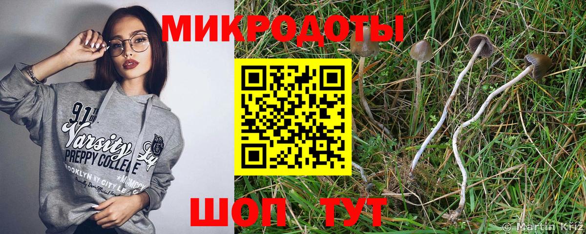 Псилоцибиновые грибы Psilocybine cubensis  Вход с VPN  Ливны 